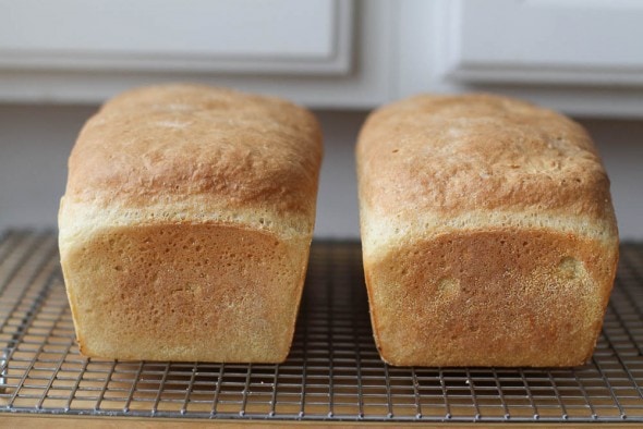 baked no knead English muffin bread